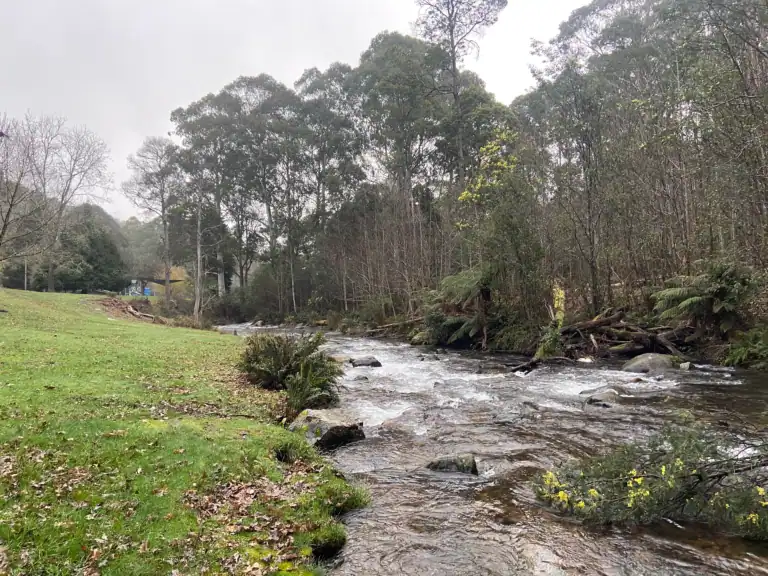 The Perfect Summer Weekend Itinerary for Mansfield, Victoria