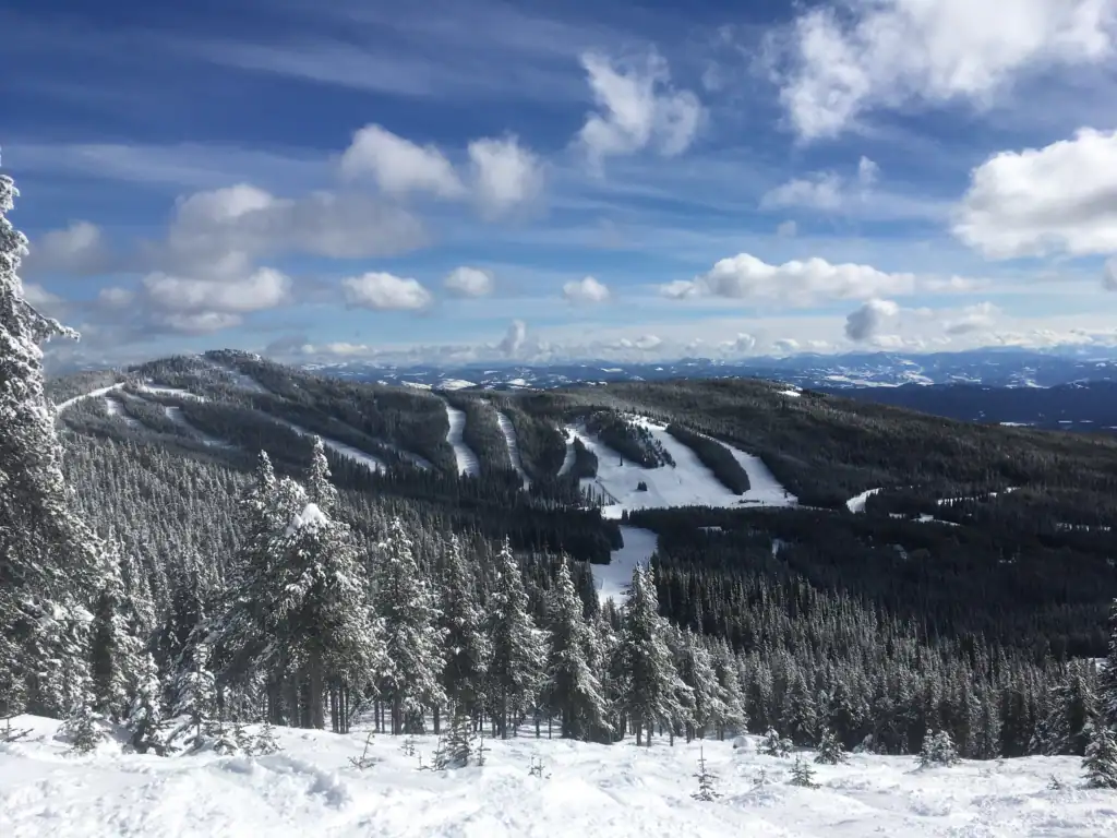 Fresh Snow and Blue Ski's at Baldy Mountain Resort. Looking across the hill over the glades to more snow covered runs.
