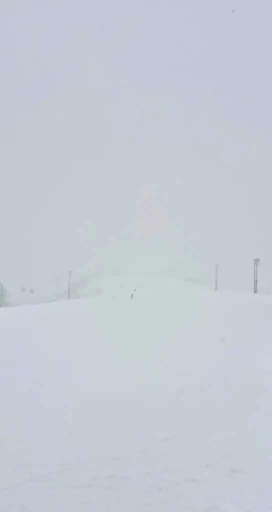 A foggy white out day at Niseko.