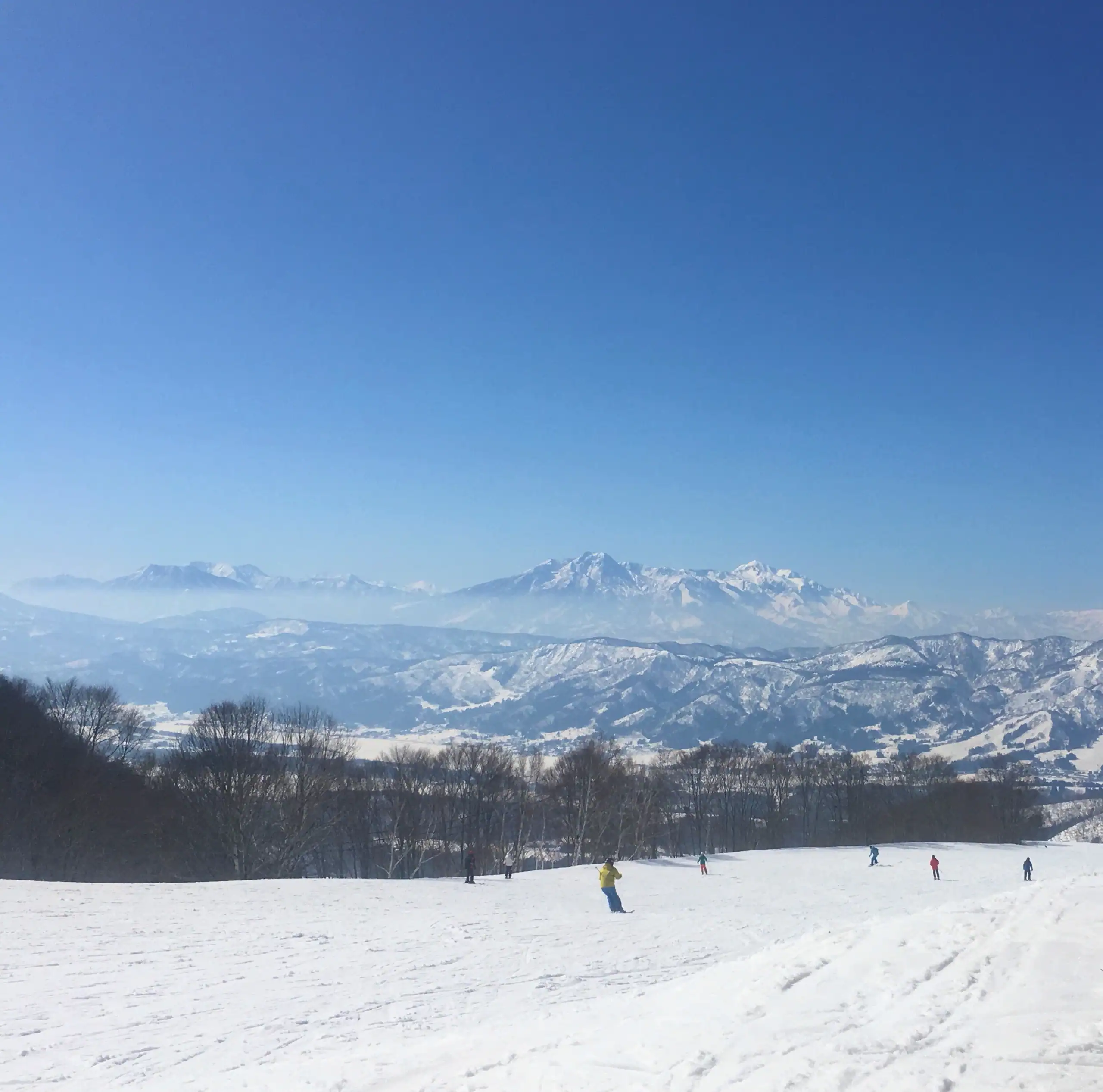 Best Time to Ski in Japan: When to Travel for the Best Snow, Smallest Crowds or Cheapest Accommodation