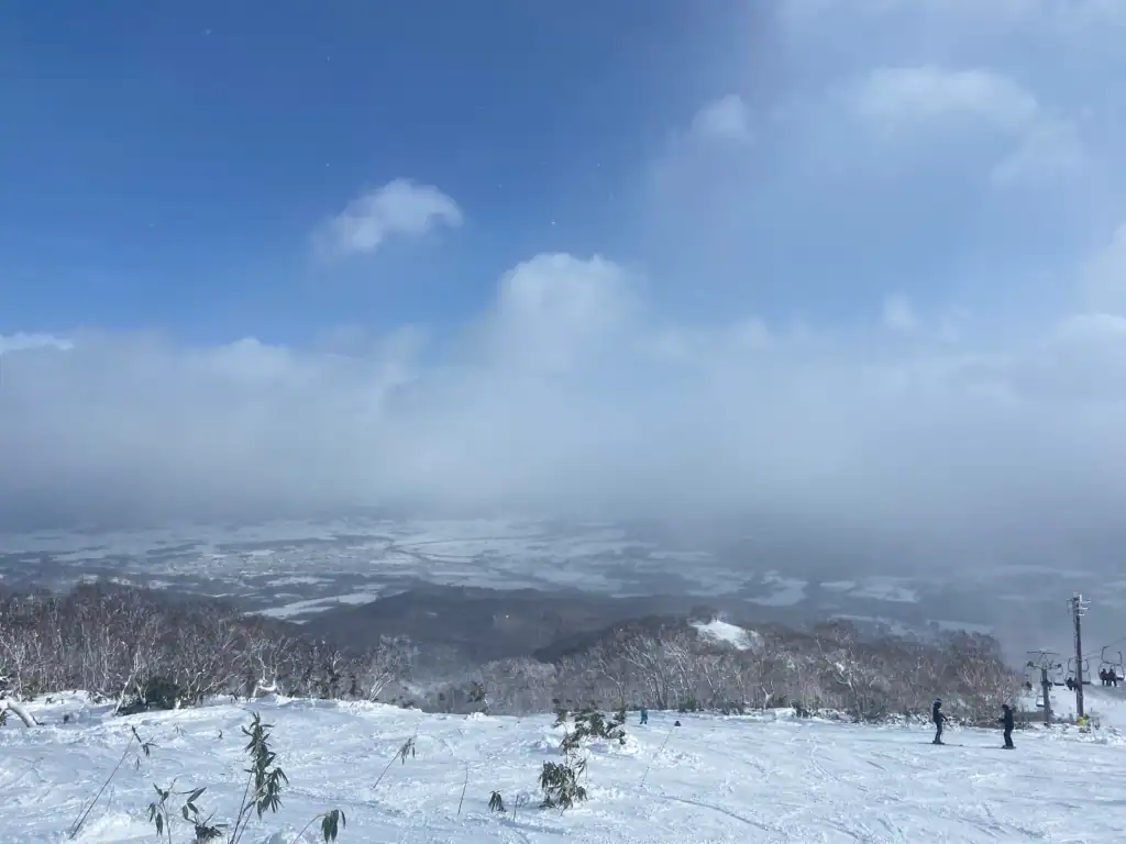 Fresh snow with mountains in the background.