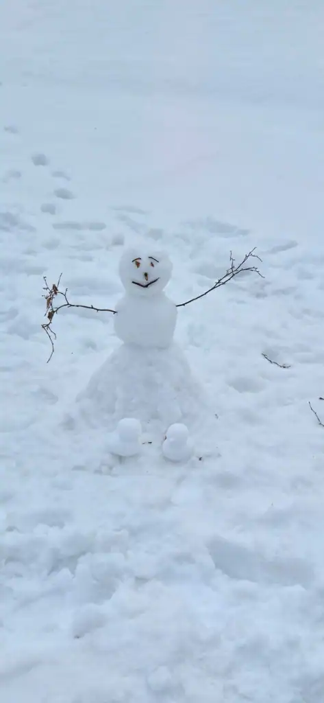 A little snowman with sticks for arms