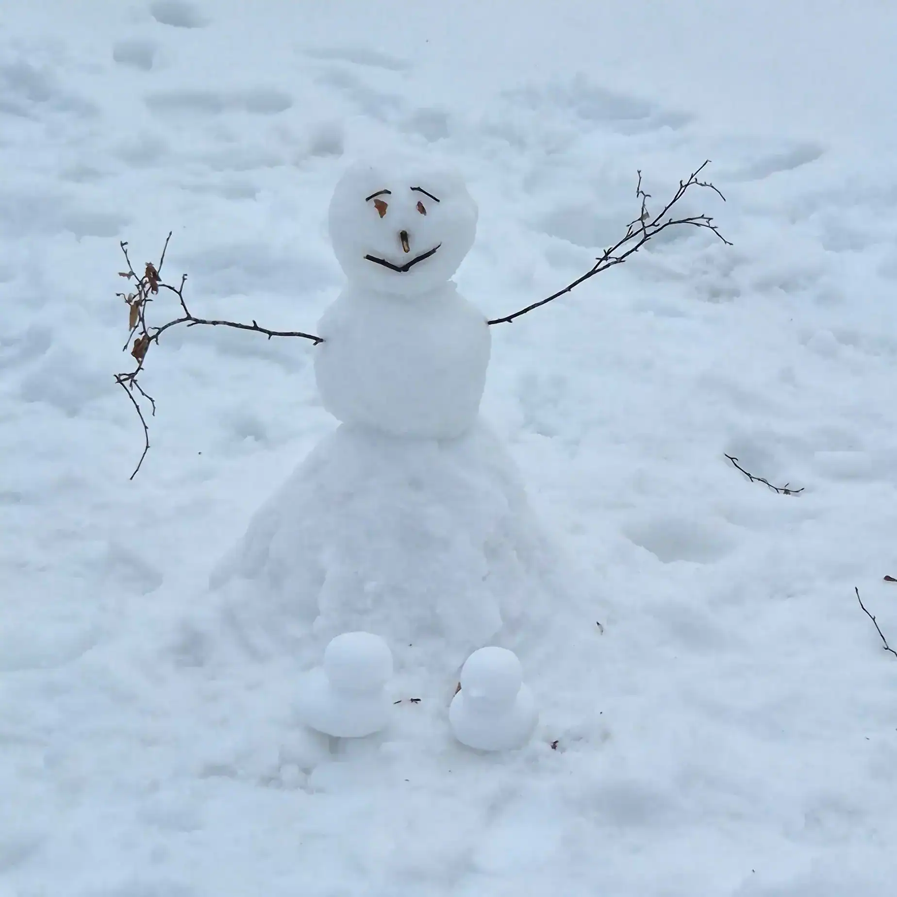 A little snowman with sticks for arms