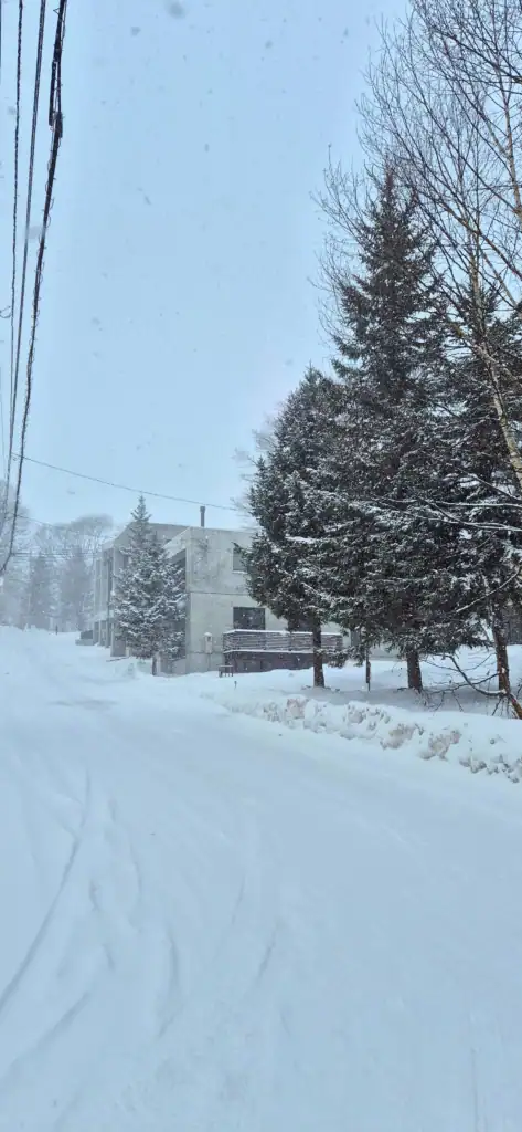 Looking up a snowy street in Lower Hirafu