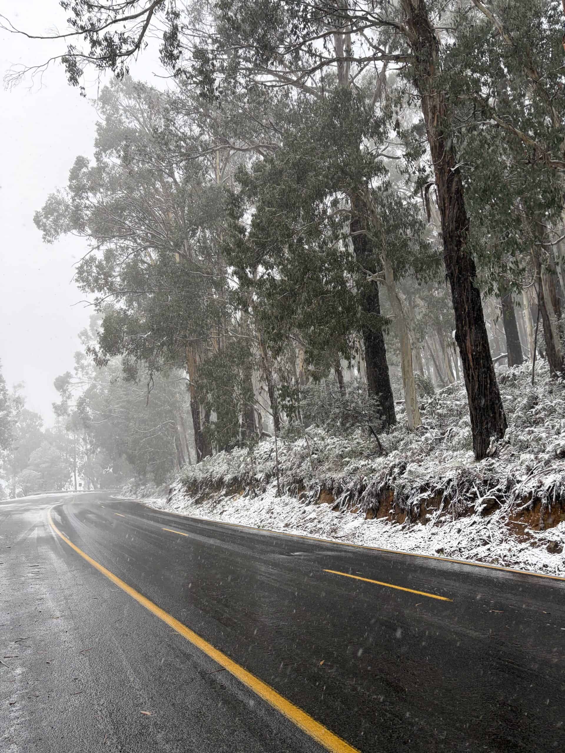 Driving to Mt Buller in the snow